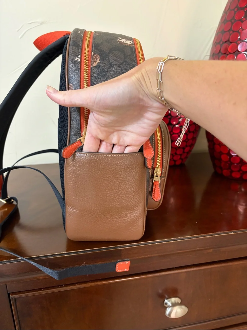 Coach Court Backpack in Signature Canvas with Hedgehog Print Style CC429